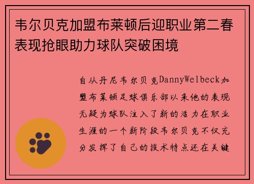 韦尔贝克加盟布莱顿后迎职业第二春表现抢眼助力球队突破困境